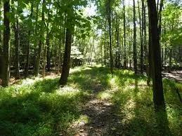 Rancocas State Park in Burlington County NJ