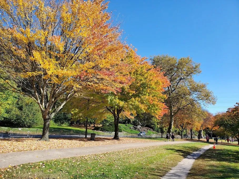 Schuylkill River Trail